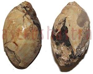 heera shankh